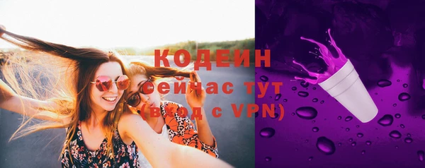 винт Майский