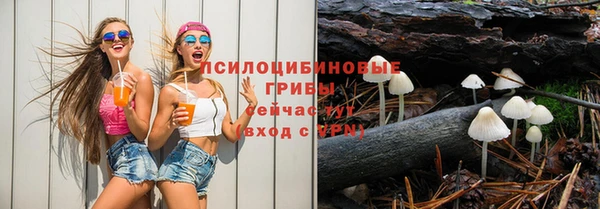 стаф Магадан