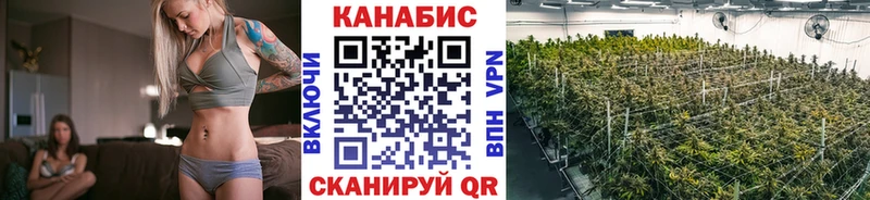 Бошки Шишки Bruce Banner  Мглин 